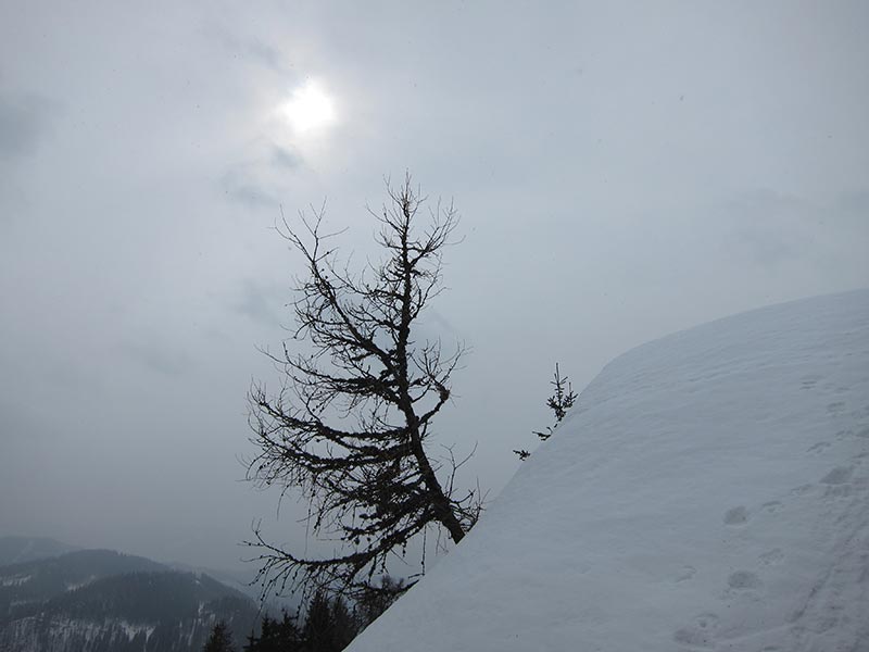 thalerkogel